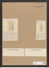 Diatomeae indet. Zeichnungen Sammlung Grunow Nr. 4479 (NHMW-BOT-W0372436)